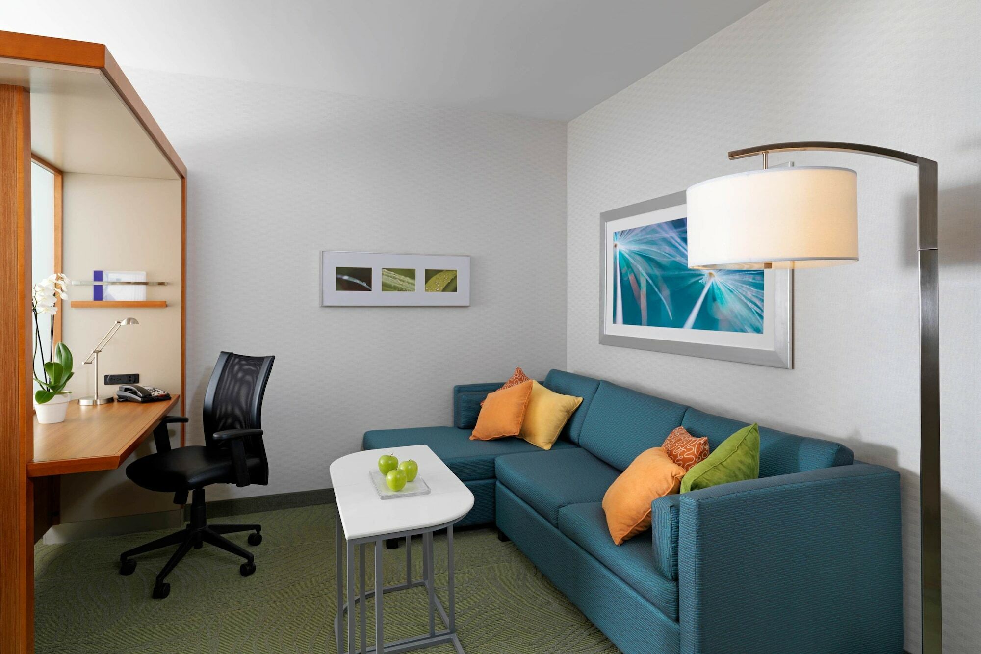 Springhill Suites By Marriott Kansas City Lenexa/City Center Buitenkant foto